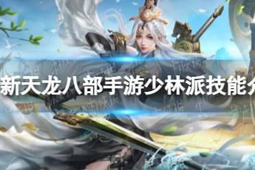 少林派技能