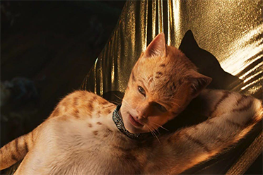 新年顶级烂片《猫》上线网飞 霉霉主演、豆瓣仅4.2分